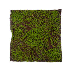 Alternative view of GloboStar® Artificial Garden BRYOPHYTA 20143 Τεχνητό Διακοσμητικό Πάνελ Φυλλωσιάς - Κάθετος Κήπος Βρύα Μ100 x Π100 x Υ5cm