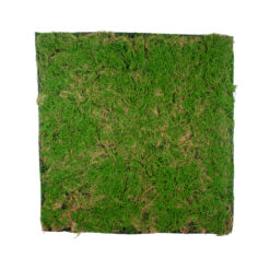 Alternative view of GloboStar® Artificial Garden BRYOPHYTA 20144 Τεχνητό Διακοσμητικό Πάνελ Φυλλωσιάς - Κάθετος Κήπος Βρύα Μ100 x Π100 x Υ3cm