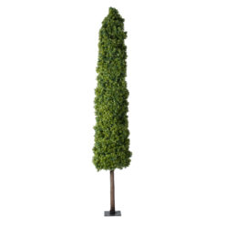 Alternative view of GloboStar® Artificial Garden BUXUS 20158 Τεχνητό Διακοσμητικό Φυτό Πυξός Υ250cm