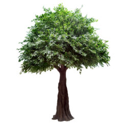 Alternative view of GloboStar® Artificial Garden BANYAN FICUS TREE 20160 Τεχνητό Διακοσμητικό Δέντρο Ινδική Συκιά Φίκος Υ340cm