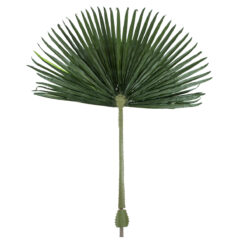 Alternative view of GloboStar® Artificial Garden WASHINGTONIA FILIFERA PALM LEAF 20171 Τεχνητό Διακοσμητικό Φύλο Φοινικόδεντρου Βεντάλια Π170 x Υ200cm