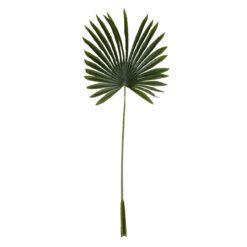 Alternative view of GloboStar® Artificial Garden SERENOA PALM LEAF 20173 Τεχνητό Διακοσμητικό Φύλο Φοινικόδεντρου Σερενόα Βεντάλια Π47 x Υ120cm