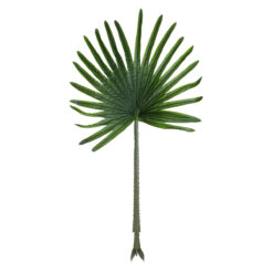 Alternative view of GloboStar® Artificial Garden SERENOA PALM LEAF 20174 Τεχνητό Διακοσμητικό Φύλο Φοινικόδεντρου Σερενόα Βεντάλια Π90 x Υ170cm