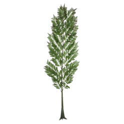 Alternative view of GloboStar® Artificial Garden ALSOPHILA FERN LEAF 20178 Τεχνητό Διακοσμητικό Φύλο Φτέρης Π60 x Υ180cm