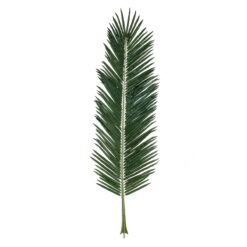 Alternative view of GloboStar® Artificial Garden ARECA PALM LEAF 20182 - Τεχνητό Διακοσμητικό Φύλο Φοινικόδεντρου Αρέκα Π95 x Υ280cm