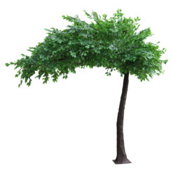 Alternative view of GloboStar® Artificial Garden BANYAN FICUS TREE 20186 Τεχνητό Διακοσμητικό Δέντρο Ινδική Συκιά Φίκος Υ320cm