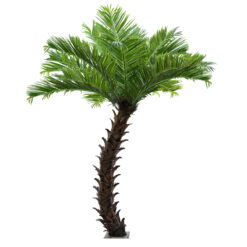 Alternative view of GloboStar® Artificial Garden PHOENIX ROEBELENII PALM TREE 20188 Τεχνητό Διακοσμητικό Φυτό Φοινικόδεντρο Ρομπελίνι Εξωτερικού Χώρου IP68 UV Certified Protection Υ400cm