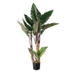 Alternative view of GloboStar® Artificial Garden RAINBOW TARO 20208 Τεχνητό Διακοσμητικό Φυτό Κολοκασία Υ160cm