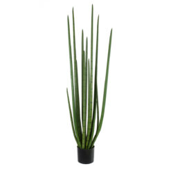 Alternative view of GloboStar® Artificial Garden SANSEVIERIA CYLINDRICA 20211 Τεχνητό Διακοσμητικό Φυτό Σανσεβιέρια Υ160cm