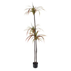 Alternative view of GloboStar® Artificial Garden DRAGON BLOOD TREE 20371 - Τεχνητό Διακοσμητικό Φυτό Δράκαινα Υ220cm
