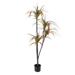 Alternative view of GloboStar® Artificial Garden DRAGON BLOOD TREE 20372 - Τεχνητό Διακοσμητικό Φυτό Δράκαινα Υ180cm