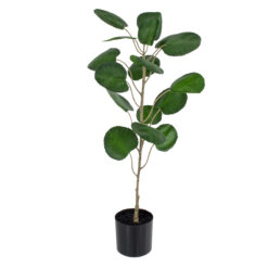 Alternative view of GloboStar® Artificial Garden POLYSCIAS BALFOURIANA TREE 20373 Τεχνητό Διακοσμητικό Φυτό Πολυσκιά Υ70cm