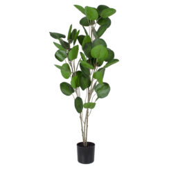Alternative view of GloboStar® Artificial Garden POLYSCIAS BALFOURIANA TREE 20374 Τεχνητό Διακοσμητικό Φυτό Πολυσκιά Υ110cm