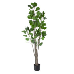 Alternative view of GloboStar® Artificial Garden POLYSCIAS BALFOURIANA TREE 20375 Τεχνητό Διακοσμητικό Φυτό Πολυσκιά Υ180cm