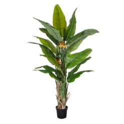 Alternative view of GloboStar® Artificial Garden BANANA STRELITZIA REGINAE 20381 - Τεχνητό Διακοσμητικό Φυτό  Μπανανιά - Στρελίτσια - Πουλί του Παραδείσου Υ230cm