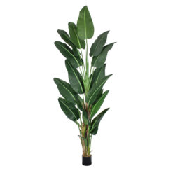 Alternative view of GloboStar® Artificial Garden BANANA TREE 20382 - Τεχνητό Διακοσμητικό Φυτό  Μπανανιά Υ300cm