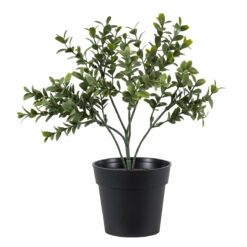 Alternative view of GloboStar® Artificial Garden BUXUS 20388 Τεχνητό Διακοσμητικό Φυτό Πυξός Υ30cm