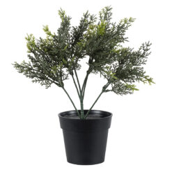 Alternative view of GloboStar® Artificial Garden LEMON CYPRESS 20389 Τεχνητό Διακοσμητικό Φυτό Λεμονόκυπάρισσο Υ30cm