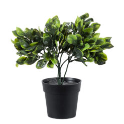 Alternative view of GloboStar® Artificial Garden ANUBIA BARTERI 20390 Τεχνητό Διακοσμητικό Φυτό Ανούμπια Υ30cm