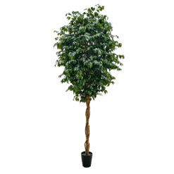 Alternative view of GloboStar® Artificial Garden FICUS BENJAMINA TREE 20432 Τεχνητό Διακοσμητικό Φυτό Φίκος Μπενζαμίνη Υ300cm