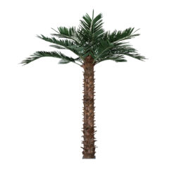 Alternative view of GloboStar® Artificial Garden COCONUT PALM TREE 20436 Τεχνητό Διακοσμητικό Φοινικόδεντρο Κοκοφοίνικας Υ600cm