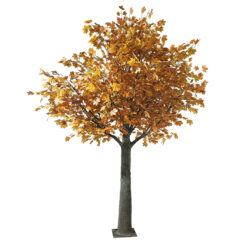 Alternative view of GloboStar® Artificial Garden ACER RUBRUM SYCAMORE TREE 20437 Τεχνητό Διακοσμητικό Δέντρο Κόκκινος Σφένδαμος Υ400cm
