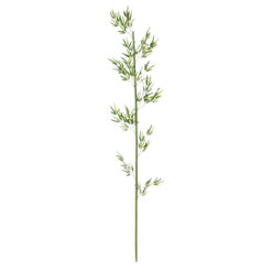 Alternative view of GloboStar® Artificial Garden BAMBOO BRANCH 20440 Τεχνητό Διακοσμητικό Κλαδί Μπαμπού Υ250cm