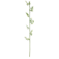 Alternative view of GloboStar® Artificial Garden BAMBOO BRANCH 20441 Τεχνητό Διακοσμητικό Κλαδί Μπαμπού Υ300cm