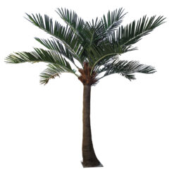 Alternative view of GloboStar® Artificial Garden COCONUT PALM TREE 20442 Τεχνητό Διακοσμητικό Φοινικόδεντρο Κοκοφοίνικας Εξωτερικού Χώρου IP68 UV Certified Protection Υ400cm