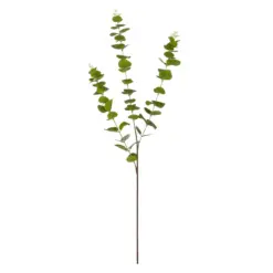 Alternative view of GloboStar® Artificial Garden EUCALYPTUS BRANCH 20484 Τεχνητό Διακοσμητικό Κλαδί Ευκάλυπτου Πράσινο Π30 x Μ30 x Υ80m