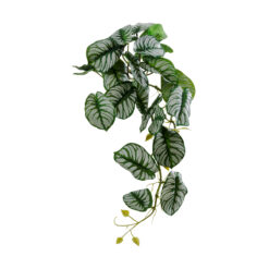 Alternative view of GloboStar® Artificial Garden HANGING ALOCASIA 20601 Τεχνητό Διακοσμητικό Κρεμαστό Φυτό Αλοκάσια Μ28 x Π27 x Υ50cm