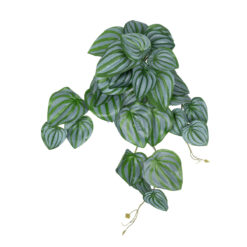 Alternative view of GloboStar® Artificial Garden PEPEROMIA HANGING PLANT 20603 Τεχνητό Διακοσμητικό Κρεμαστό Φυτό Πεπερόμια Υ45cm