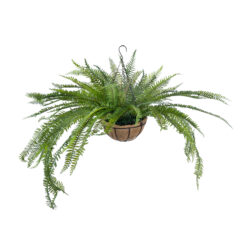 Alternative view of GloboStar® Artificial Garden FERN HANGING PLANT 20624 Τεχνητό Κρεμαστό Διακοσμητικό Φυτό Φτέρης Y45cm
