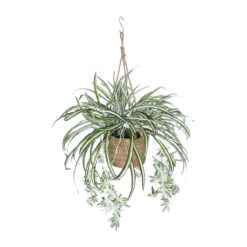 Alternative view of GloboStar® Artificial Garden CHLOROPHYTUM COMOSUM HANGING PLANT 20638 Τεχνητό Κρεμαστό Διακοσμητικό Χλωρόφυτο  Y50cm