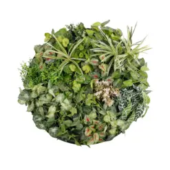 Alternative view of GloboStar® Artificial Garden VARIOUS PLANTS ROUND WALL DISC 20690 Τεχνητό Διακοσμητικό Στρογγυλό Πάνελ Φυλλωσιάς - Κάθετος Κήπος Μιξ Μ80 x Π80 x Υ20cm