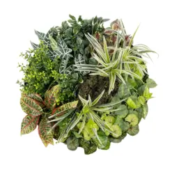 Alternative view of GloboStar® Artificial Garden VARIOUS PLANTS ROUND WALL DISC 20691 Τεχνητό Διακοσμητικό Στρογγυλό Πάνελ Φυλλωσιάς - Κάθετος Κήπος Μιξ Μ60 x Π60 x Υ20cm
