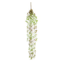 Alternative view of GloboStar® Artificial Garden HANGING EUCALYPTUS 20810 Τεχνητό Διακοσμητικό Κρεμαστό Φυτό Ευκάλυπτος Μ16 x Π9 x Υ105cm