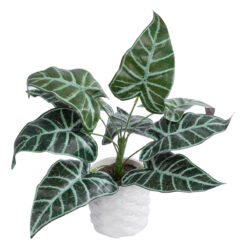 Alternative view of GloboStar® Artificial Garden ALOCASIA 20886 Τεχνητό Διακοσμητικό Φυτό Αλοκασία Φ38 x Υ33cm