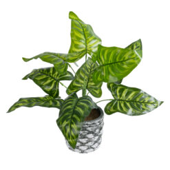 Alternative view of GloboStar® Artificial Garden PEACOCK 20888 Τεχνητό Διακοσμητικό Φυτό Παγώνι Φ38 x Υ33cm