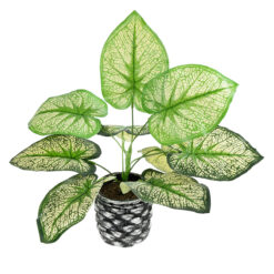 Alternative view of GloboStar® Artificial Garden CALADIUM 20889 Τεχνητό Διακοσμητικό Φυτό Τροπικό Καλάδιο Φ40 x Υ33cm