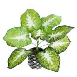 Alternative view of GloboStar® Artificial Garden CALADIUM 20890 Τεχνητό Διακοσμητικό Φυτό Τροπικό Φυτό  Φ40 x Υ33cm