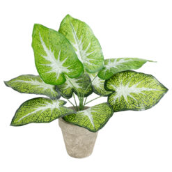 Alternative view of GloboStar® Artificial Garden CALADIUM POTTED PLANT 20894 Διακοσμητικό Φυτό Καλάντιουμ Φ40 x Υ33cm