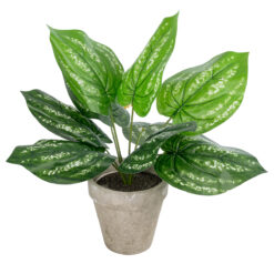 Alternative view of GloboStar® Artificial Garden SILVER POTHOS POTTED PLANT 20896 Διακοσμητικό Φυτό Πόθος Φ40 x Υ33cm
