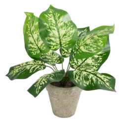 Alternative view of GloboStar® Artificial Garden DIEFFENBACHIA POTTED PLANT 20897 Διακοσμητικό Φυτό Διφενμπάχια Φ40 x Υ33cm