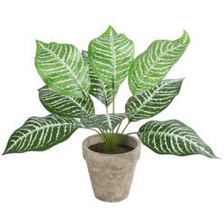 Alternative view of GloboStar® Artificial Garden ZEBRA POTTED PLANT 20898 Διακοσμητικό Φυτό Ζέμπρα Φ40 x Υ33cm