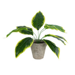 Alternative view of GloboStar® Artificial Garden YELLOW HOSTA PLANT 20899 Τεχνητό Διακοσμητικό Φυτό Κίτρινη Χόστα Φ45 x Υ40cm