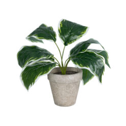 Alternative view of GloboStar® Artificial Garden WHITE HOSTA PLANT 20900 Διακοσμητικό Φυτό Λευκή  Χόστα Φ45 x Υ40cm
