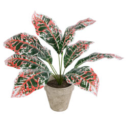 Alternative view of GloboStar® Artificial Garden RED AGLAONEMA POTTED PLANT 20901 Διακοσμητικό Φυτό Κόκκινο Αγλαόνημα Φ40 x Υ33cm