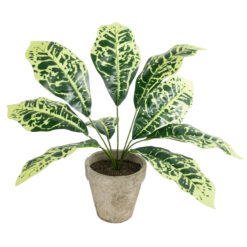 Alternative view of GloboStar® Artificial Garden YELLOW AGLAONEMA POTTED PLANT 20902 Διακοσμητικό Φυτό Κίτρινο Αγλαόνημα Φ40 x Υ33cm