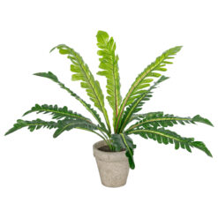 Alternative view of GloboStar® Artificial Garden  ASPLENIUM POTTED PLANT 20904 Διακοσμητικό Φυτό Aslenium Φ40 x Υ33cm